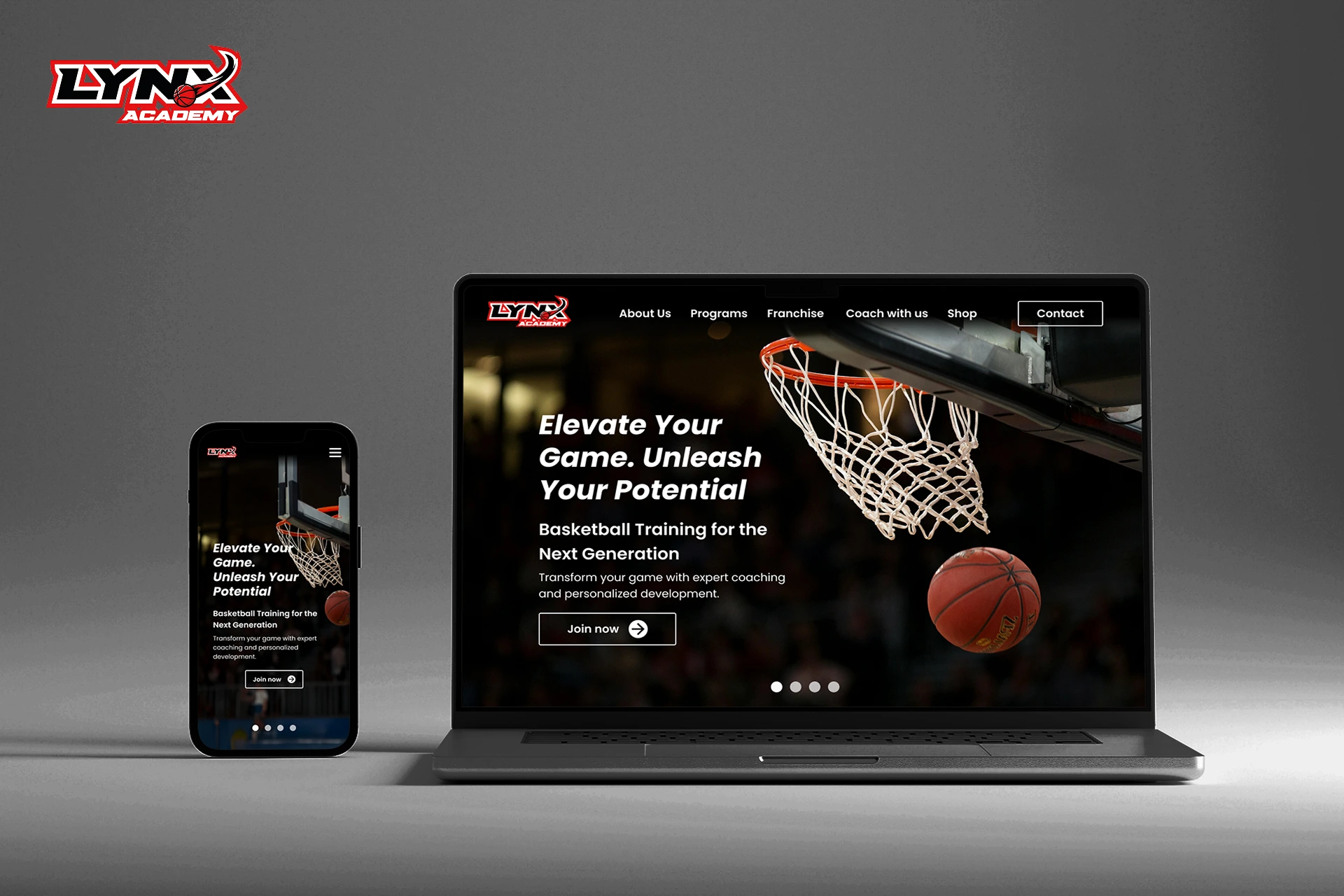 Imagen muestra de página web Lynx Academy